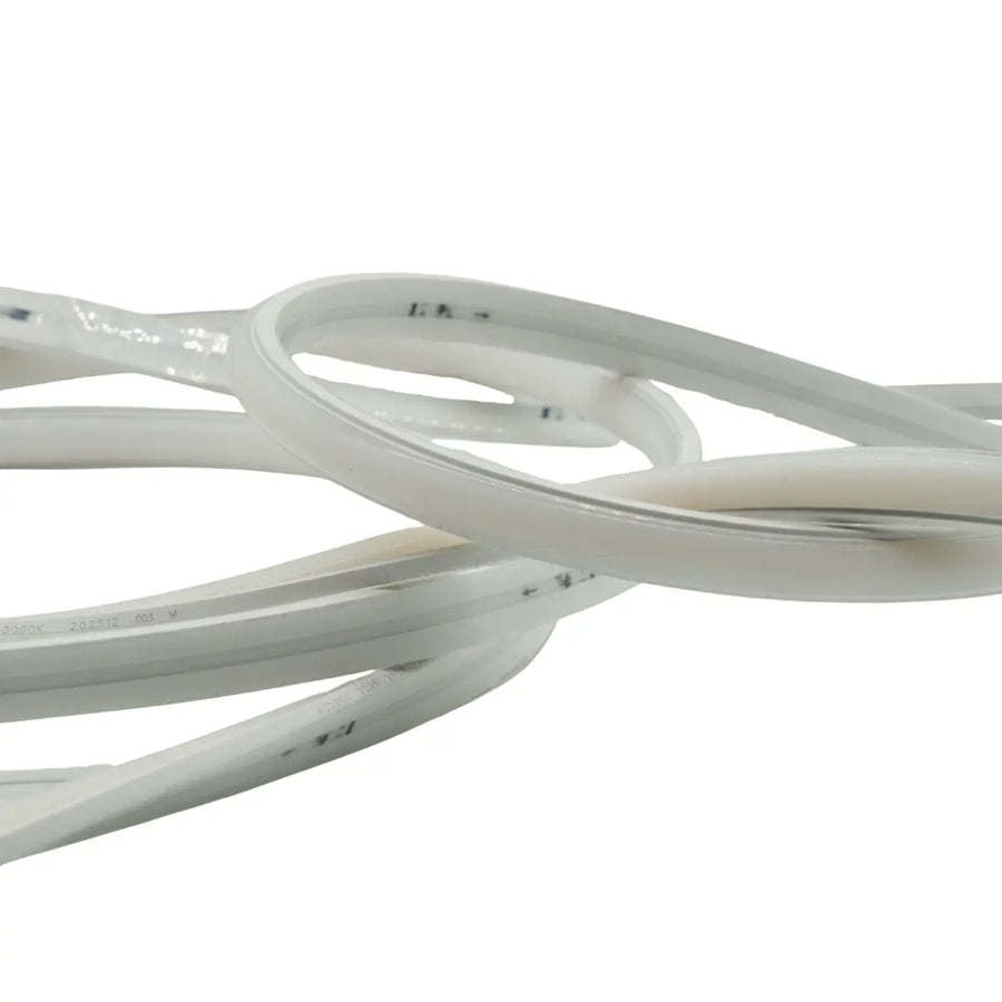 Striscia LED SMD2025 IP67 5 metri installazione diretta 220V senza trasformatore