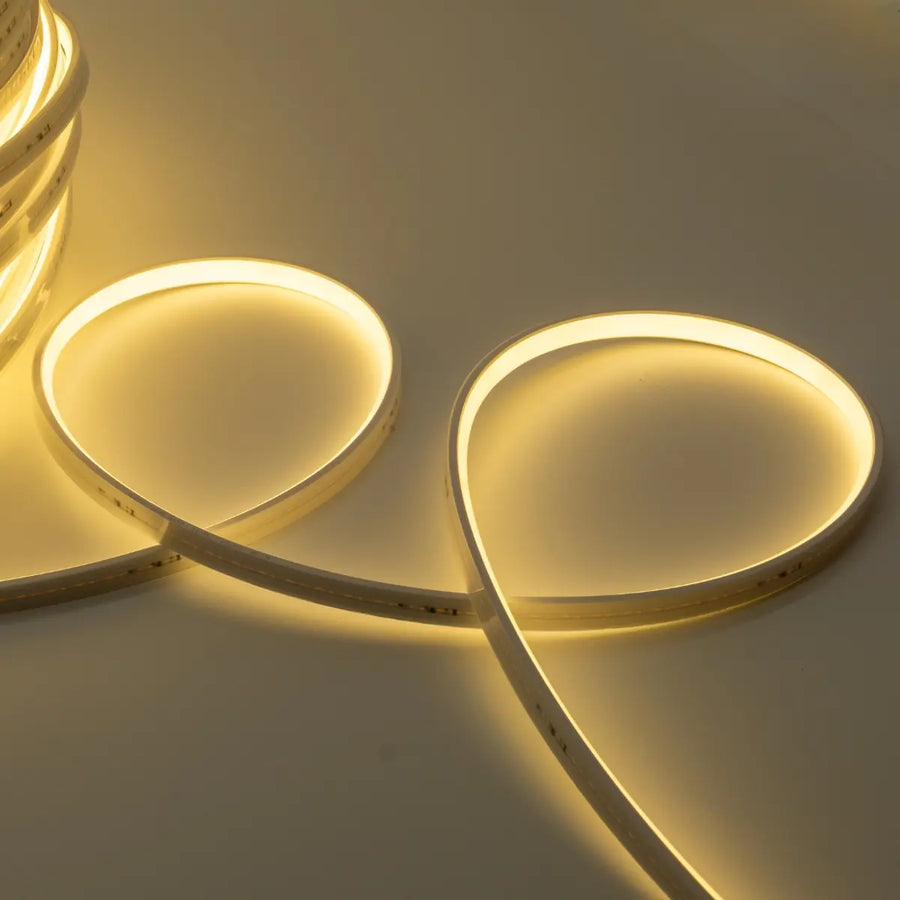 Striscia LED SMD2025 IP67 5 metri luce uniforme per interni ed esterni